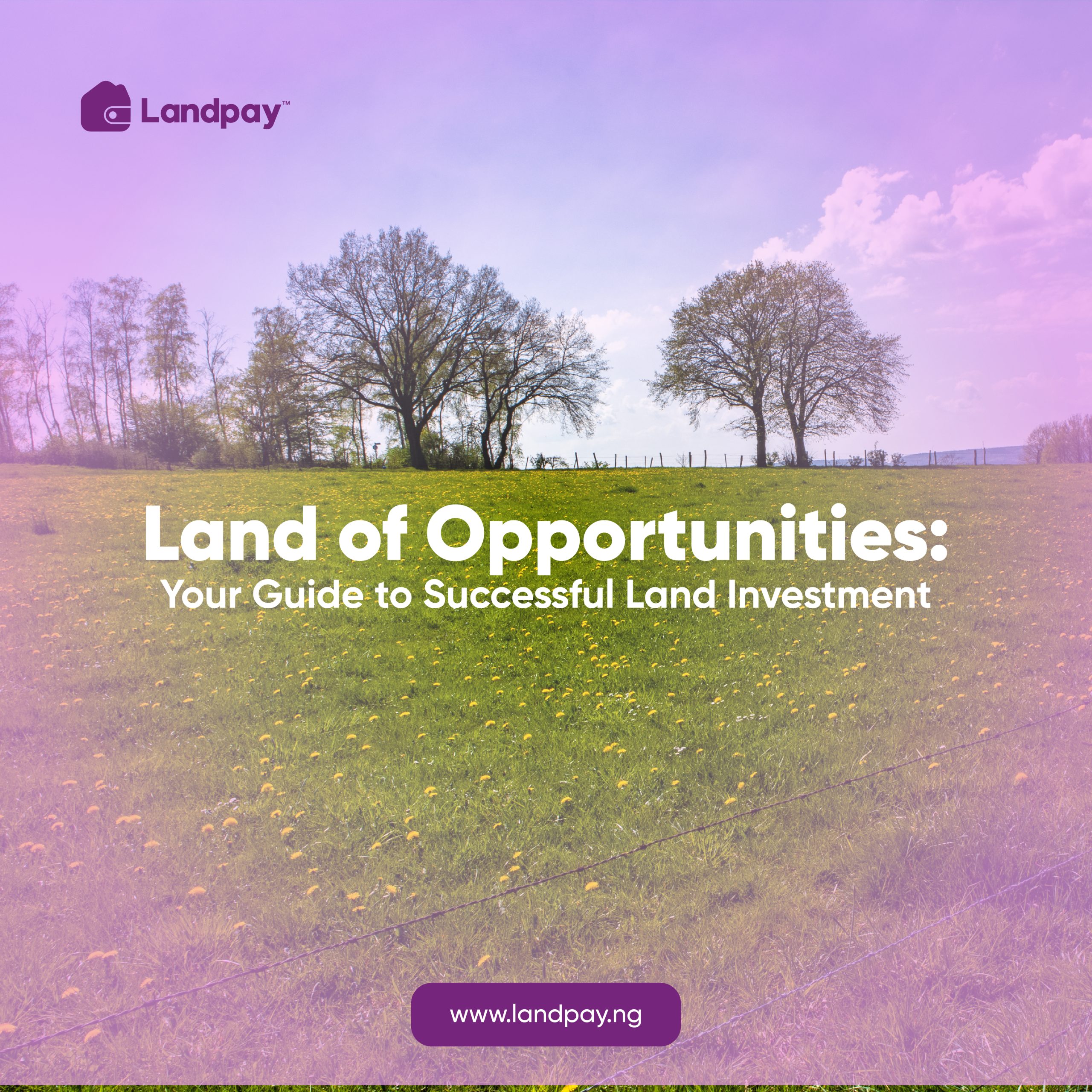 Land of Opportunities: Your Guide to Successful Land Investment